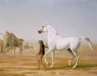 Wellesleys grauer Araber wird durch die Wüste geführt, um 1810